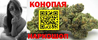 ГАЛЛЮЦИНОГЕННЫЕ ГРИБЫ Кингисепп