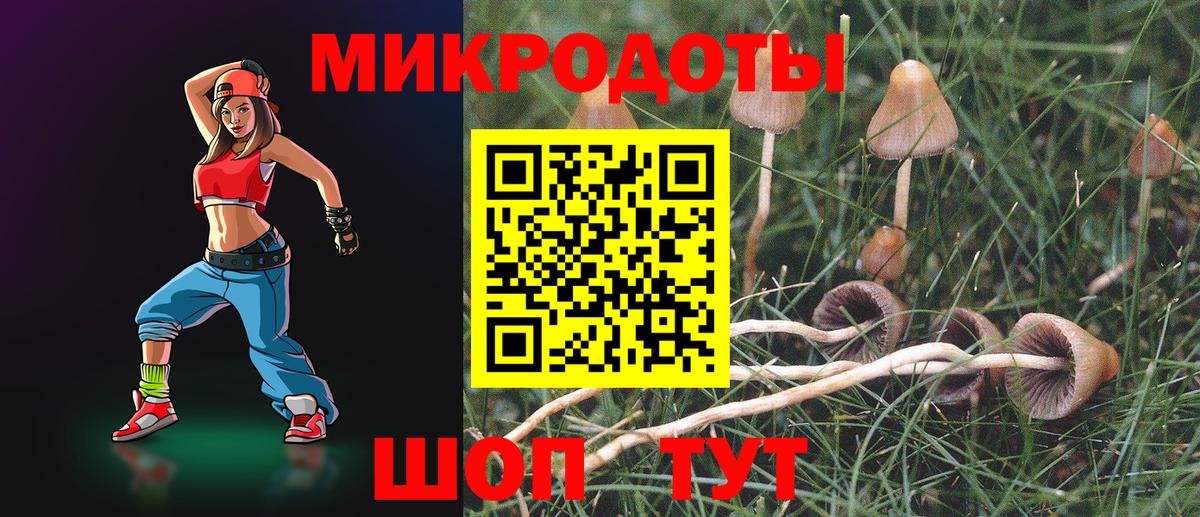 Псилоцибиновые грибы мицелий Киров
