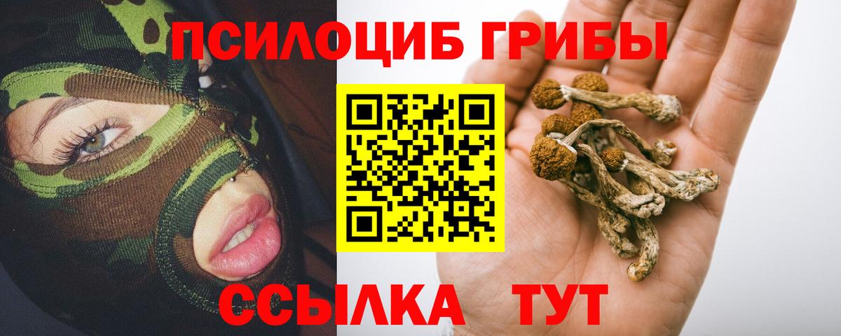 Киров  Псилоцибиновые грибы Cubensis  Вход с VPN  Псилоцибиновые грибы MAGIC MUSHROOMS 